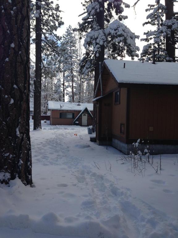 Majestic Moose Lodge - Coptic Village Big Bear Lake Kültér fotó