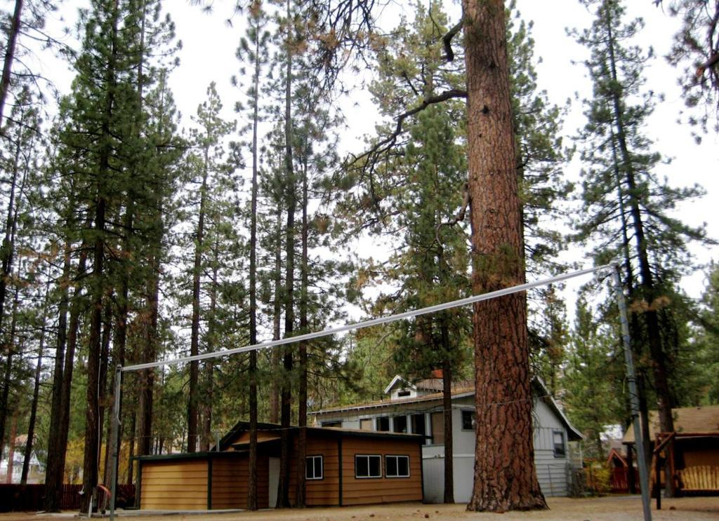 Majestic Moose Lodge - Coptic Village Big Bear Lake Kültér fotó
