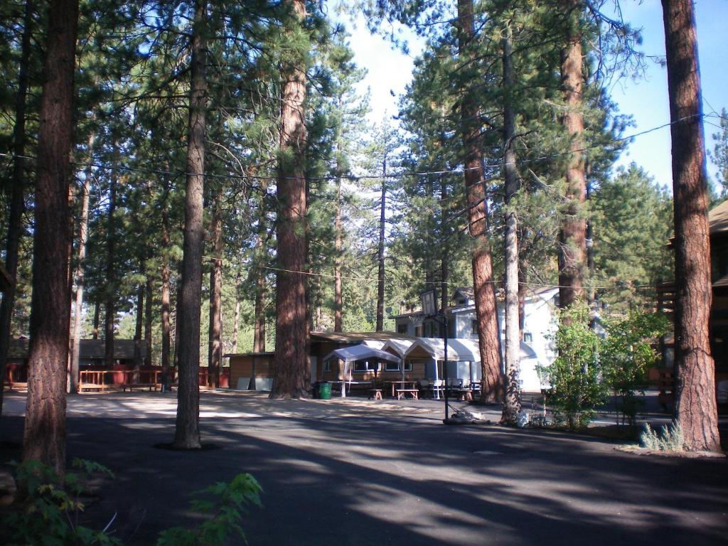 Majestic Moose Lodge - Coptic Village Big Bear Lake Kültér fotó